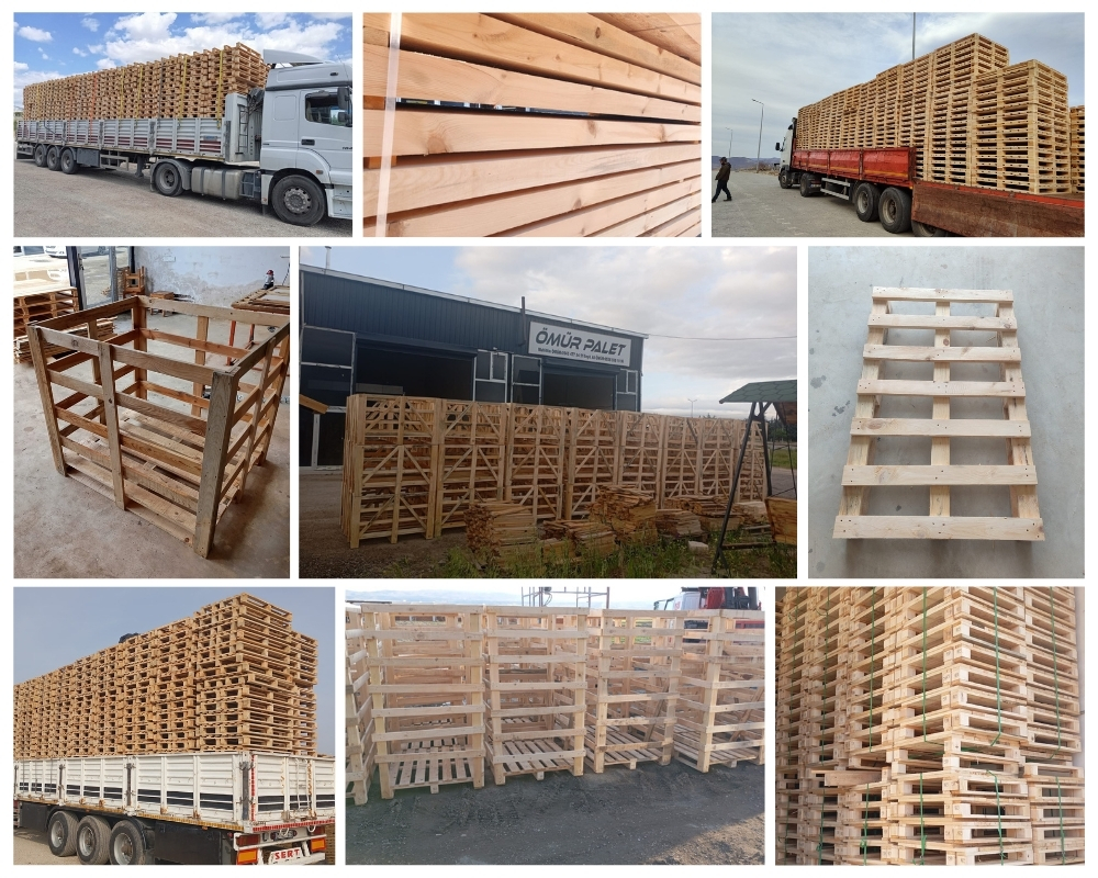 Haalderen Houten Kisten, Europallets Groothandel Kopen